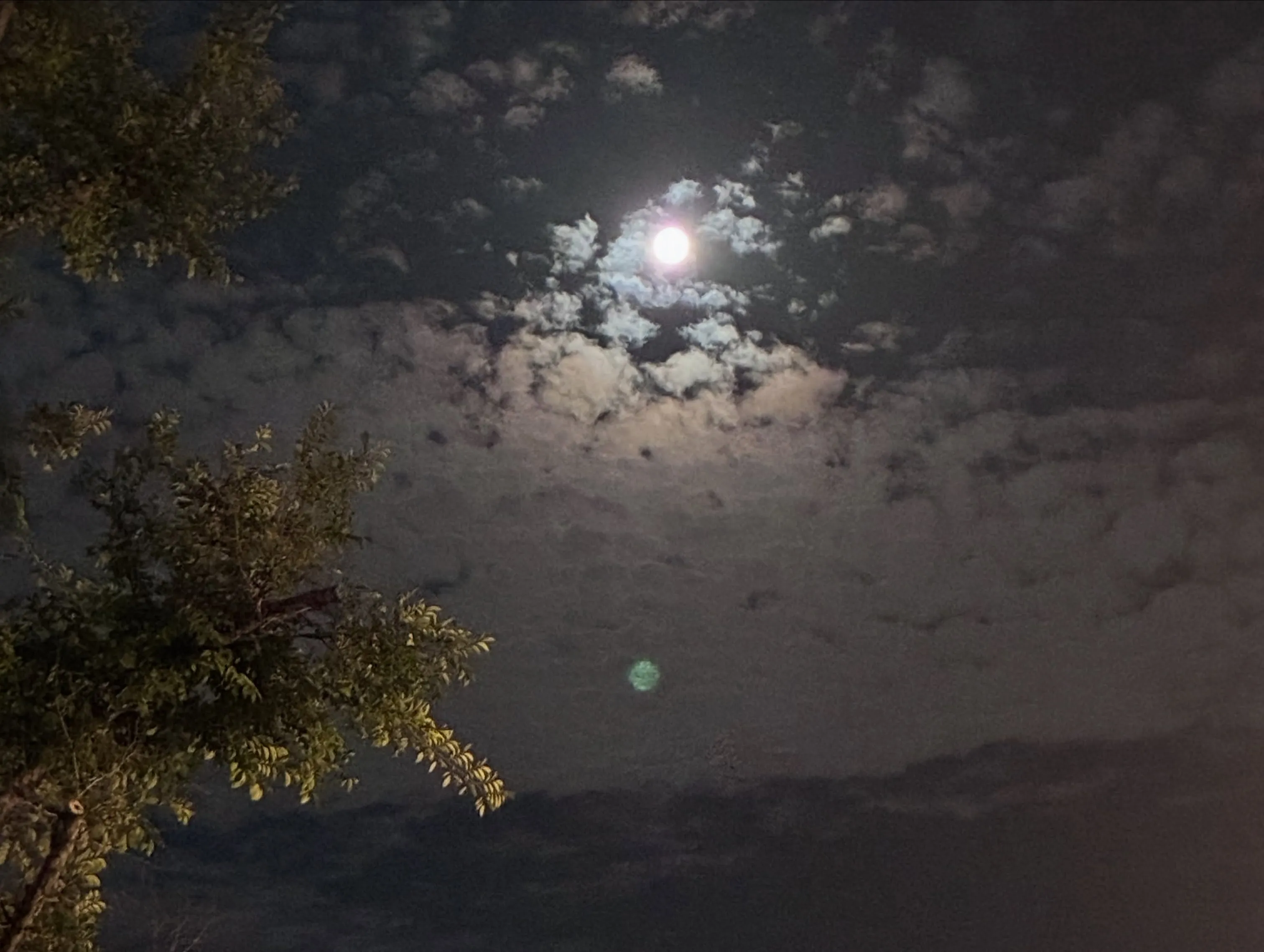 静かな夜に月を見上げるひととき、心と体がリラックスモードに誘...