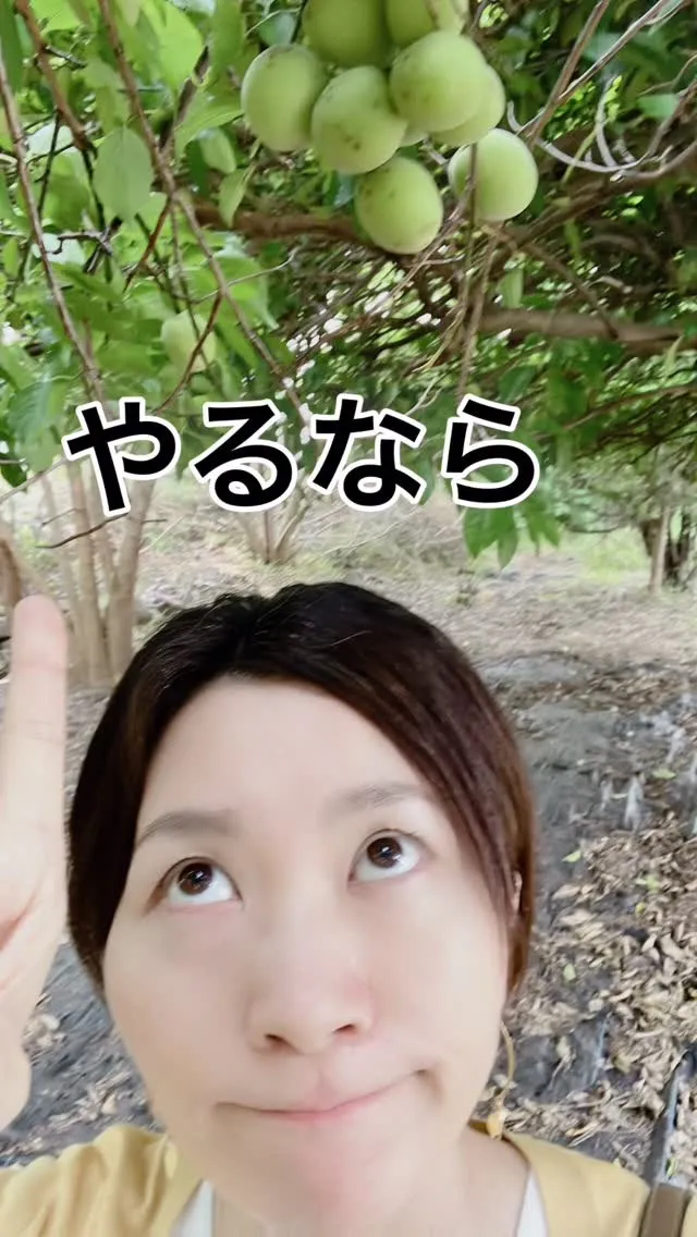 美容と健康を追求する過程で重要なのが、姿勢の改善とリンパの流...