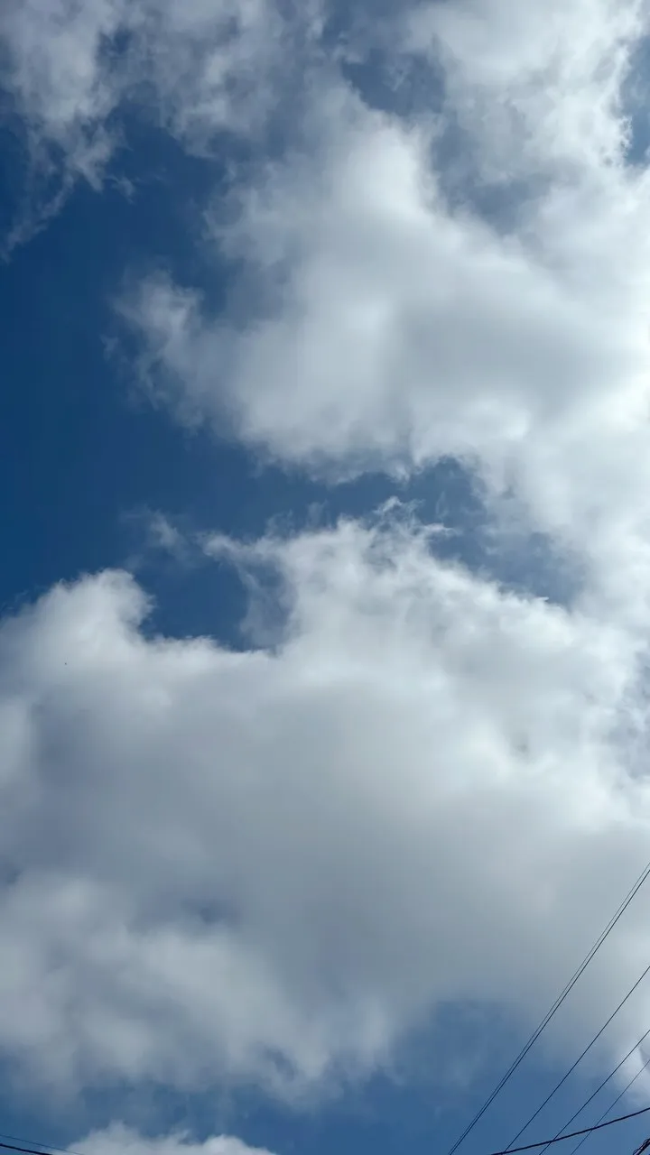 散歩のメリット🚶